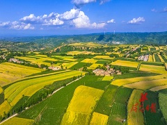 咸阳：加强乡村振兴示范镇建设，绘就美丽乡村底色